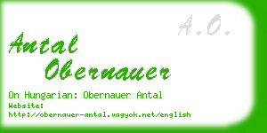 antal obernauer business card